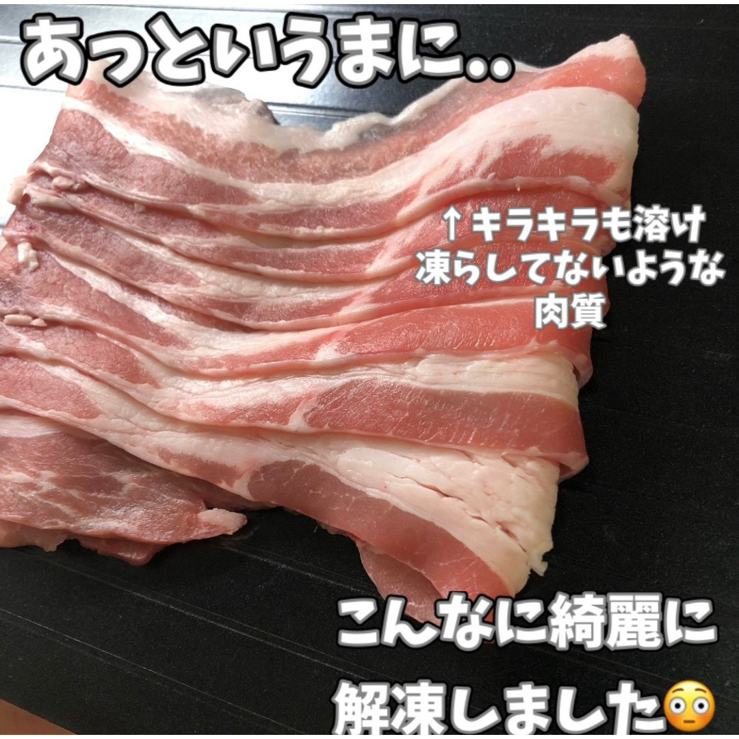 【もう溶けた！？】大サイズ 急速解凍プレート 置くだけ 肉 魚 簡単解凍 インテリア/住まい/日用品のキッチン/食器(収納/キッチン雑貨)の商品写真