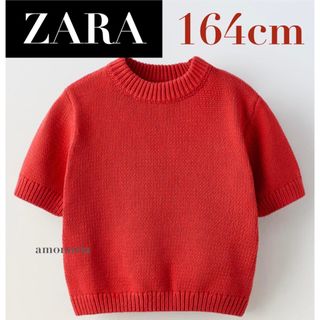 ZARA - 【新品】ZARA 半袖ニットセーター　半袖ニット　サマーニット　ニットセーター