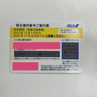 エーエヌエー(ゼンニッポンクウユ)(ANA(全日本空輸))のANA 株主優待券(その他)