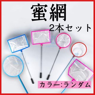 2本セット　蜜網 網 水槽 ゴミ取り メダカ 稚魚 熱帯魚 ネット タモ 選別(その他)