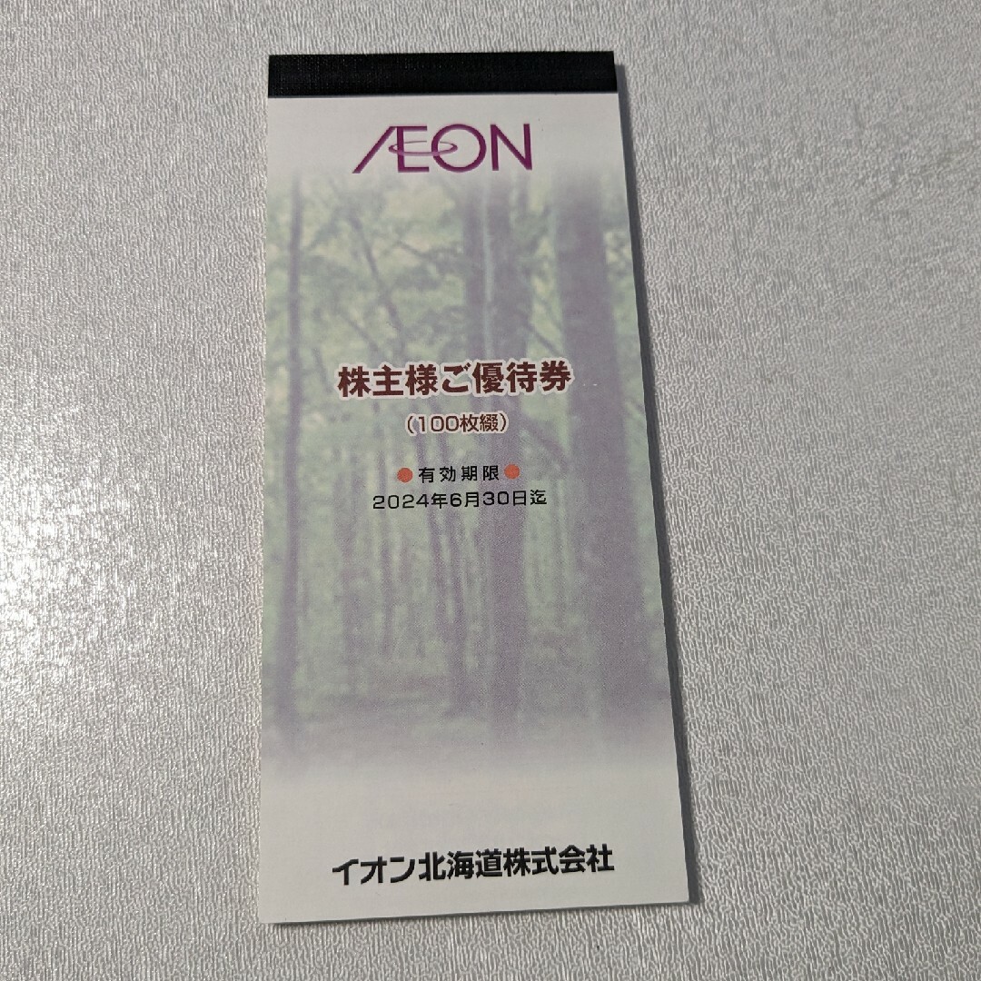 イオン北海道 株主優待券 10000円分 チケットの優待券/割引券(ショッピング)の商品写真