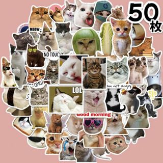 猫ミーム ステッカー 50枚セット TikTok 猫 おもしろ 防水 シール(その他)