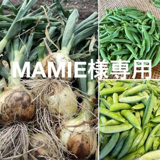 MAMIE様専用(野菜)