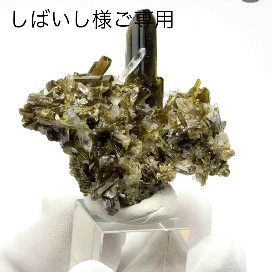 ヴァイスシュヴァルツ NIK/S117-089SP “大掃除メイド”ソーダ (SP ヴァイスシュヴァルツ NIK/S117-089SP “大掃除メイド”ソーダ (SP