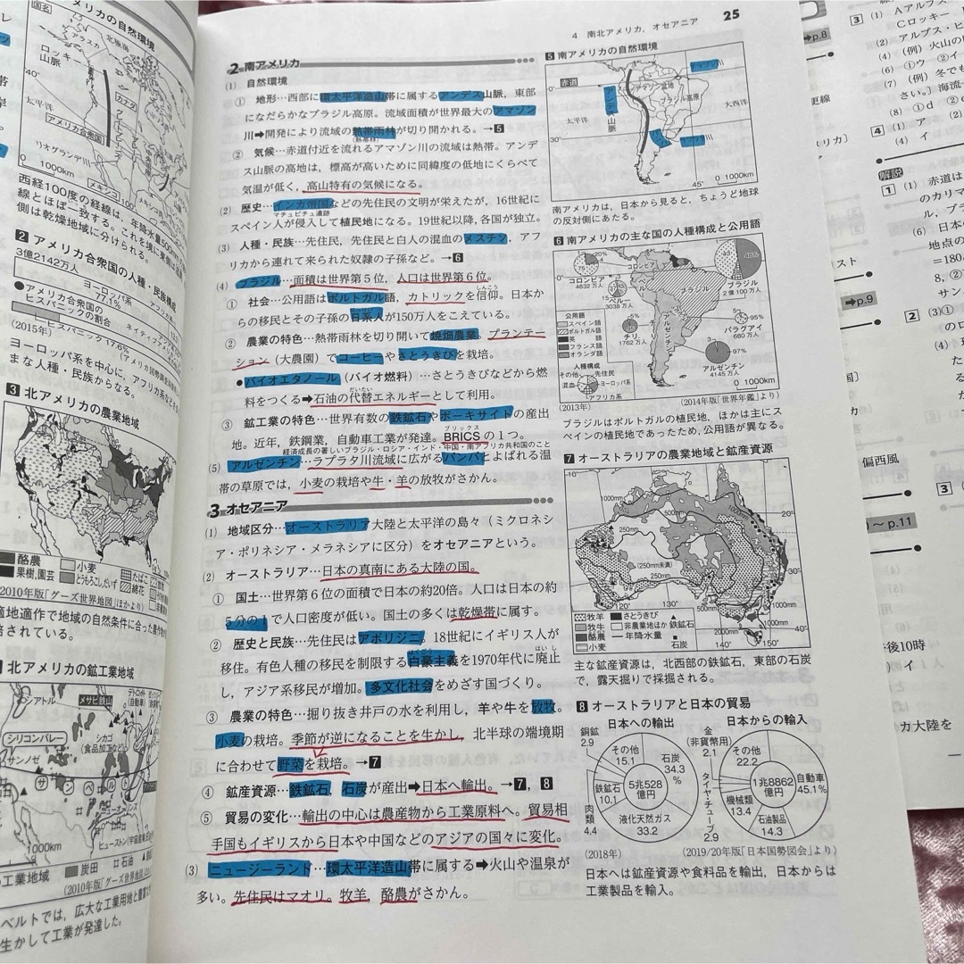 中学WinPass社会 全　学習塾用教材 エンタメ/ホビーの本(語学/参考書)の商品写真