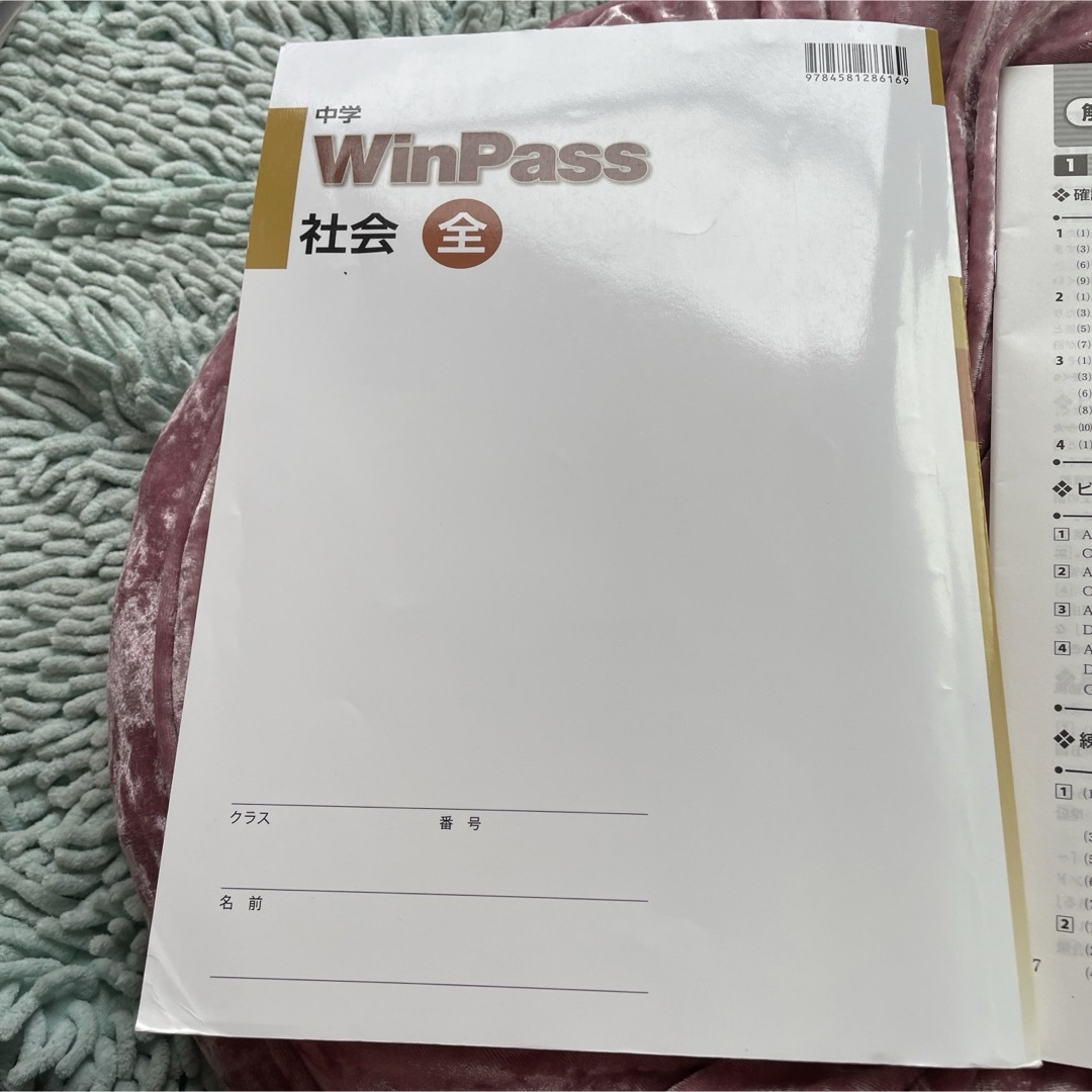 中学WinPass社会 全　学習塾用教材 エンタメ/ホビーの本(語学/参考書)の商品写真