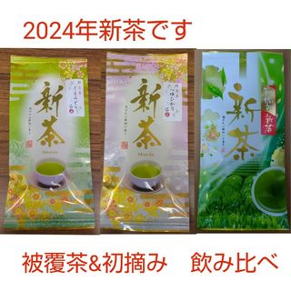 2024年新茶 静岡県牧之原市産 被覆茶さえみどり/つゆひかり/初摘み　飲み比べ(茶)