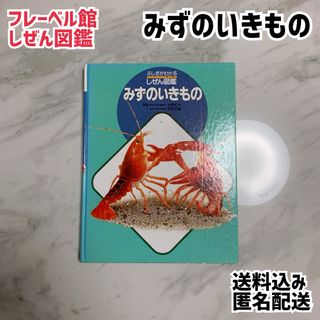 フレーベル館 ふしぎがわかるしぜん図鑑 図鑑 水の生き物