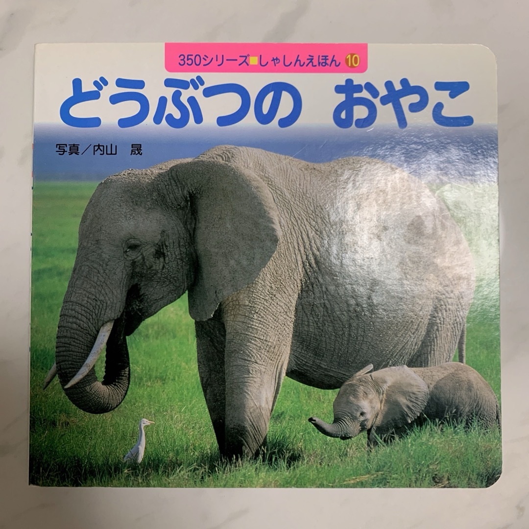 ポプラ社 350シリーズ 図鑑 3冊 動物の親子 水族館 恐竜 エンタメ/ホビーの本(絵本/児童書)の商品写真