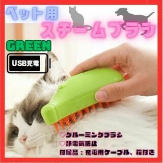 ★ 新品　キャット スチームブラシ USB充電 マッサージ グリーン　犬　猫(猫)