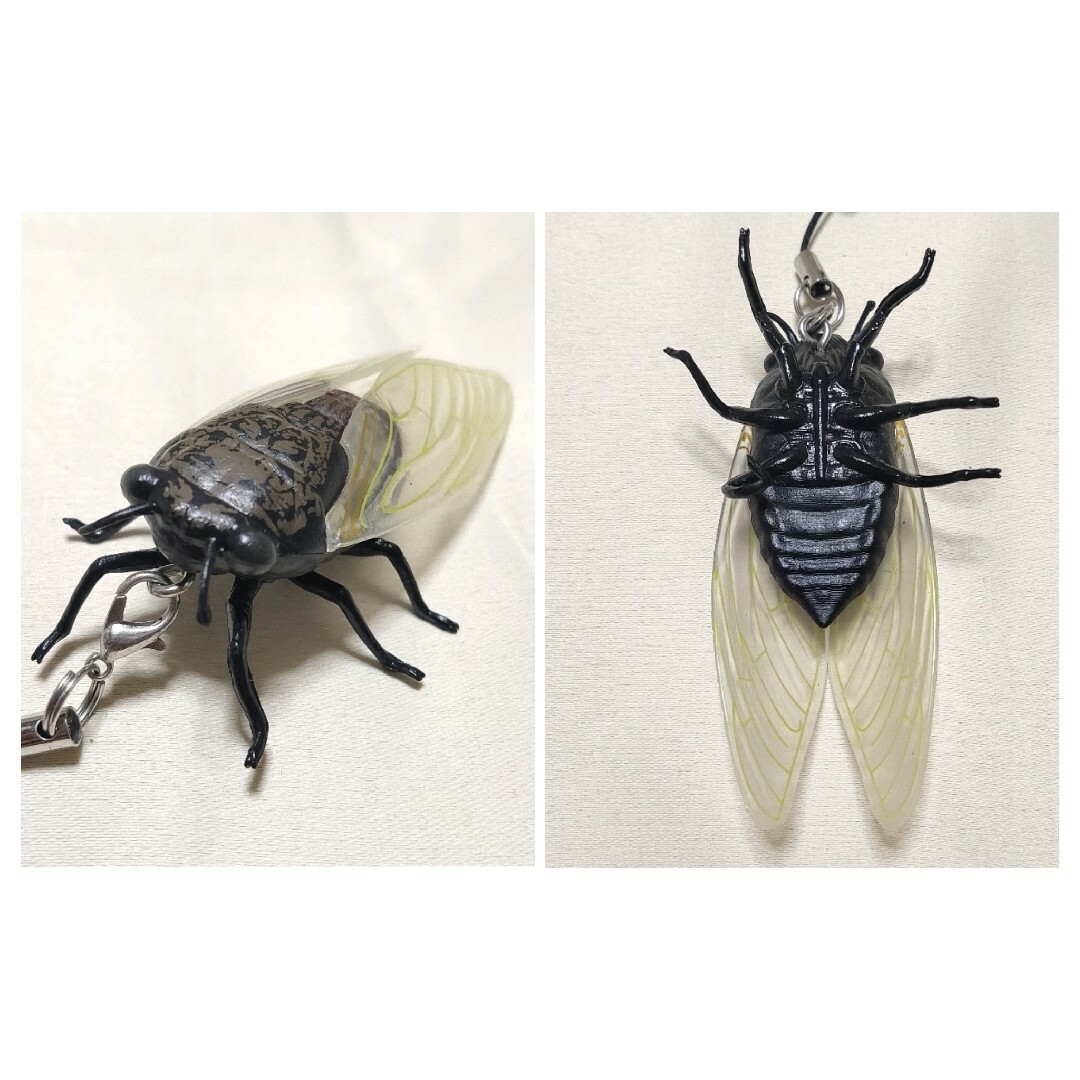 昆虫　蝉　カブトムシ　ストラップ　キーホルダー　フィギュア　昆虫　生き物 エンタメ/ホビーのおもちゃ/ぬいぐるみ(その他)の商品写真