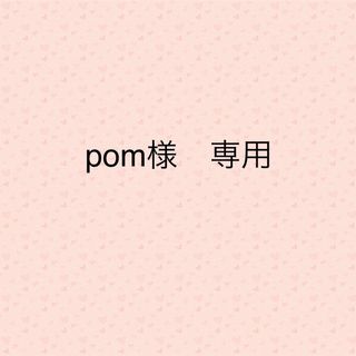 pom 様　専用　バッグ(レッスンバッグ)