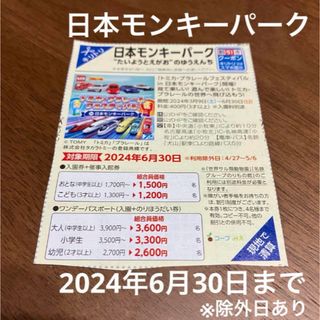 日本モンキーパーク 入園 ワンデーパスポート 割引 クーポン(遊園地/テーマパーク)