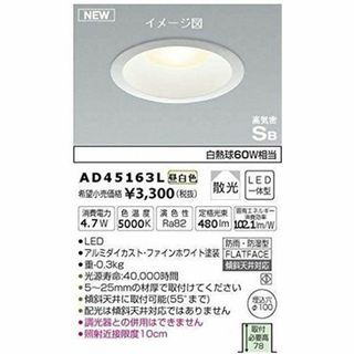 LEDダウンライト LED一体型 5000K 調光器併用不可 φ100 AD45163L(その他)