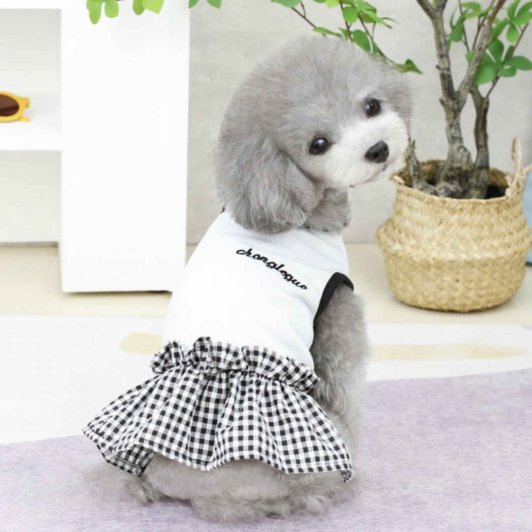 在庫わずか 白 ドッグウェア 犬服 小型犬 ペット服 ギンガムチェック 春夏 M その他のペット用品(犬)の商品写真