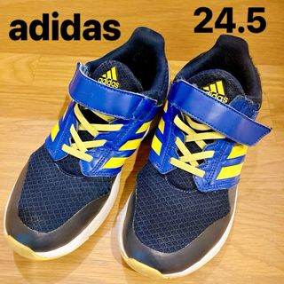 adidas - adidas アディダス マジックテープ　スニーカー　24.5