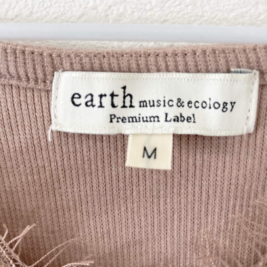 earth music & ecology(アースミュージックアンドエコロジー)のレース　カットソー　未使用 レディースのトップス(カットソー(長袖/七分))の商品写真