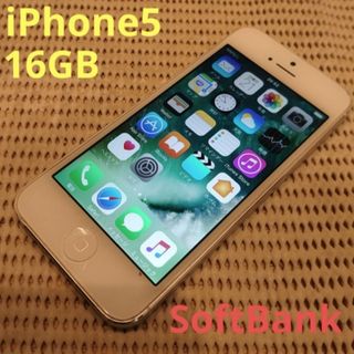 アイフォーン(iPhone)のUDTWF 完動品iPhone5本体16GBホワイトSoftBank判定○(スマートフォン本体)