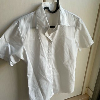 ブラウス ホワイト シャツ 半袖(Tシャツ(半袖/袖なし))