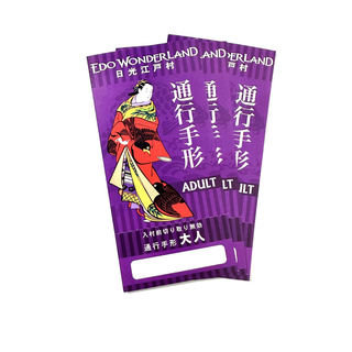 ２枚 日光江戸村 チケット (遊園地/テーマパーク)