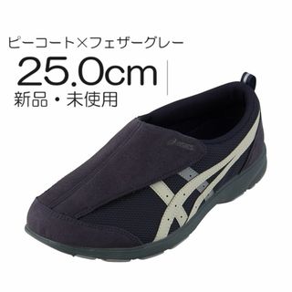 アシックス(asics)のアシックス１０１ライフウォーカー　25.0ｃｍ　男性用シューズ(その他)