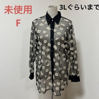 未使用　韓国　チュールフラワー　透けシャツ(シャツ/ブラウス(長袖/七分))