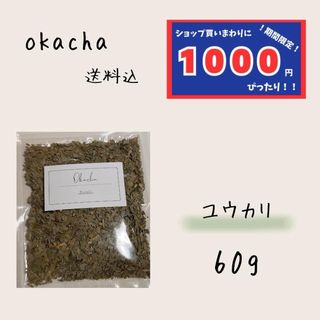 【1000円シリーズ】ユウカリ 60g ユウカリタプス ハーブティー (茶)