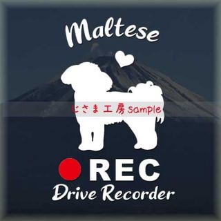 ワンコのかわいいドラレコステッカー‼︎『︎DRIVE RECORDER』(ステッカー)