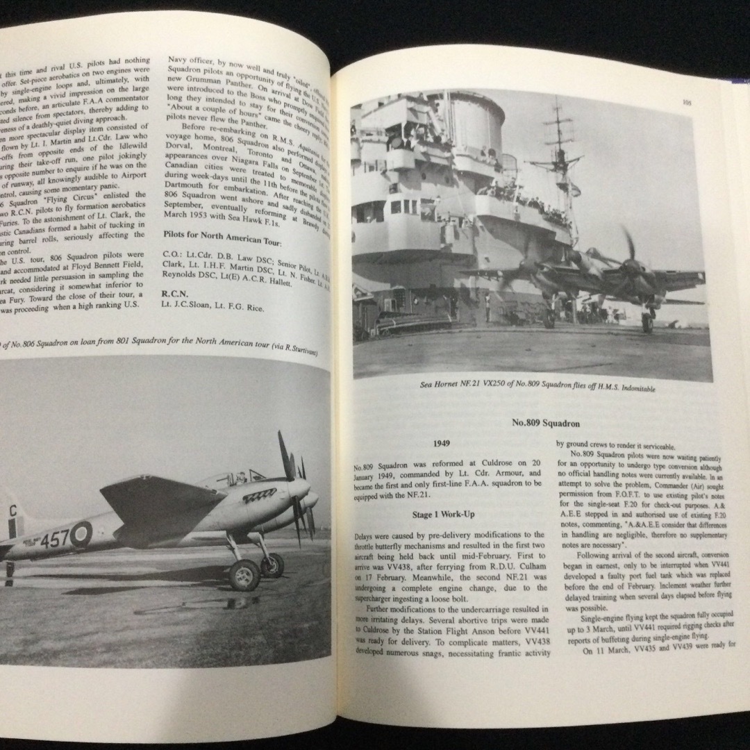 ホーネット　イギリス空軍　RAF Hornet ハヴィランド　飛行機　戦闘機 エンタメ/ホビーの本(洋書)の商品写真