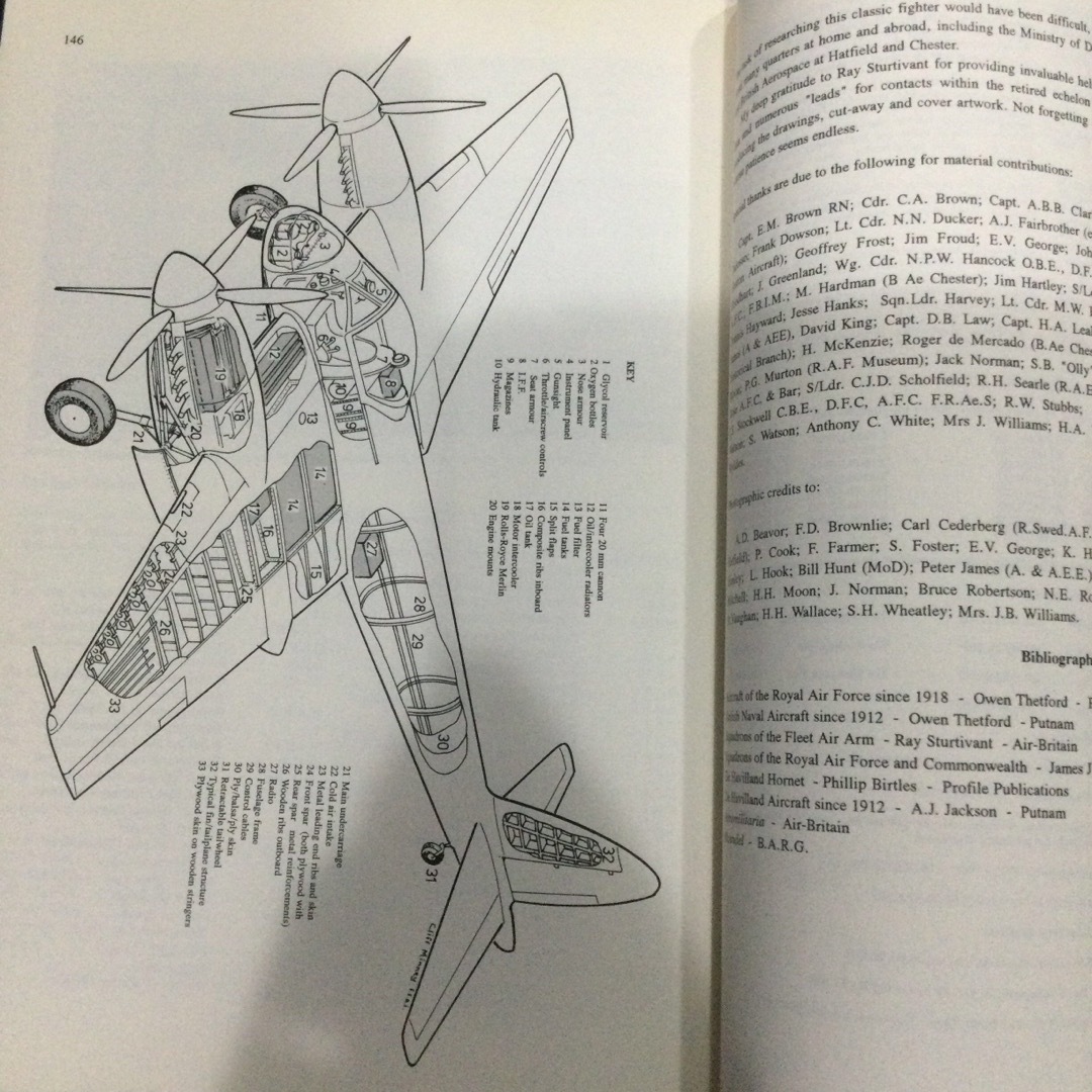 ホーネット　イギリス空軍　RAF Hornet ハヴィランド　飛行機　戦闘機 エンタメ/ホビーの本(洋書)の商品写真