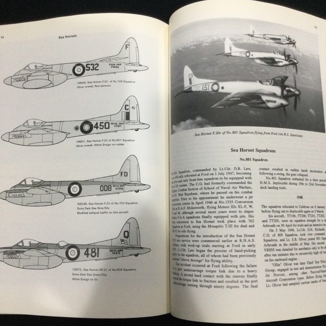 ホーネット　イギリス空軍　RAF Hornet ハヴィランド　飛行機　戦闘機 エンタメ/ホビーの本(洋書)の商品写真