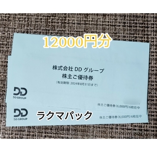 12000円分/DDグループ DDホールディングス 株主優待＋サンリオ小物袋(その他)