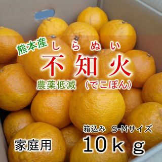 熊本県産 不知火(デコポン) 箱込み10kg S・Mサイズ 農薬低減