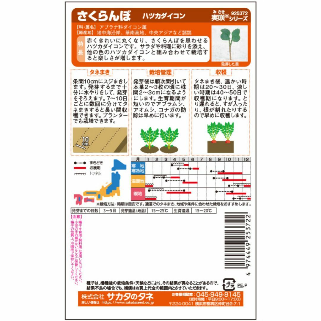 未開封＜野菜種＞約500粒　ハツカダイコン　さくらんぼ　二十日大根　ラディッシュ ハンドメイドのフラワー/ガーデン(プランター)の商品写真