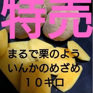 特売　いんかのめざめ10キロ(野菜)