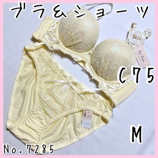 ブラジャーショーツセットC75    No.7285(ブラ&ショーツセット)