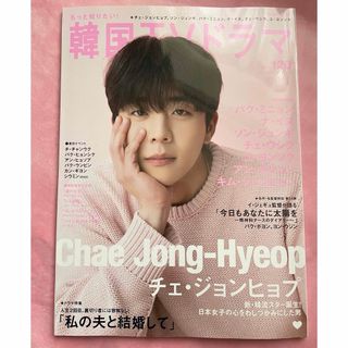 チェジョンヒョプ　韓国TVドラマ　雑誌　