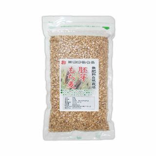 自然栽培 胚芽もち麦(400g)★無肥料・無農薬・自家採取★栄養豊富で低カロリー(米/穀物)