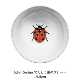 ASTIER de VILLATTE - ASTIER de VILLATTE John Derian てんとう虫