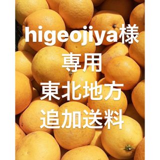 higeojiya様　専用　東北地方追加送料(フルーツ)