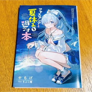 「アナスタシアと夏休みを過ごす本」小説　匿名配送　送料無料(一般)