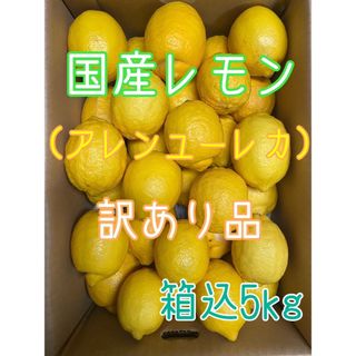 《訳あり品》国産レモン（アレンユーレカ）サイズ混合 箱込み5kg(フルーツ)