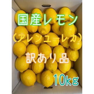 《訳あり品》国産レモン（アレンユーレカ）サイズ混合 10kg(フルーツ)