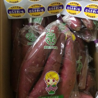 123.成田市大栄産　紫芋 むらさきいも　箱込み1.3kg(野菜)