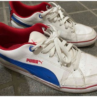 プーマ(PUMA)のプーマ   スニーカー　25㎝(スニーカー)