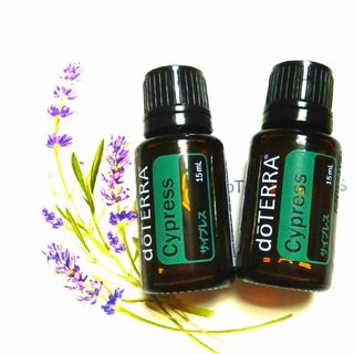 ドテラ(doTERRA)のdoTERRA　サイプレス【15mL×2本】(エッセンシャルオイル（精油）)