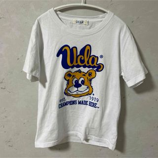 ユーシーエルエー(UCLA)の【美品】UCLA ユーシーエルエー プリントTシャツ　くまさん(Tシャツ/カットソー)