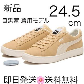 プーマ(PUMA)の国内正規品 24.5cm SnowMan PUMA ベージュ 目黒蓮(スニーカー)