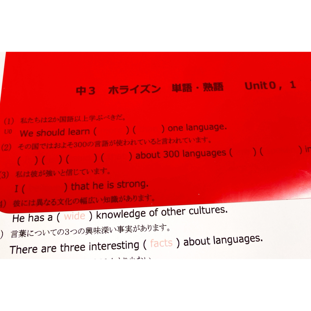 中3英語　英単語・熟語 暗記プリント（サンシャイン）★定期テスト・受験対策 エンタメ/ホビーの本(語学/参考書)の商品写真