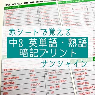 中3英語　英単語・熟語 暗記プリント（サンシャイン）★定期テスト・受験対策(語学/参考書)